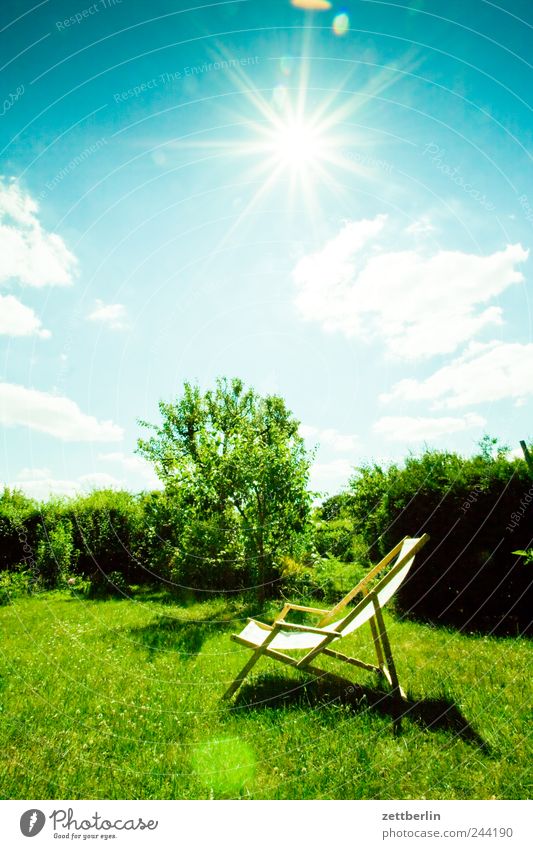 Sommer Natur Landschaft Pflanze Himmel Sonne Klima Wetter Schönes Wetter Baum Garten Wiese Erholung Glück Zufriedenheit Optimismus Juni Kleingartenkolonie Hecke