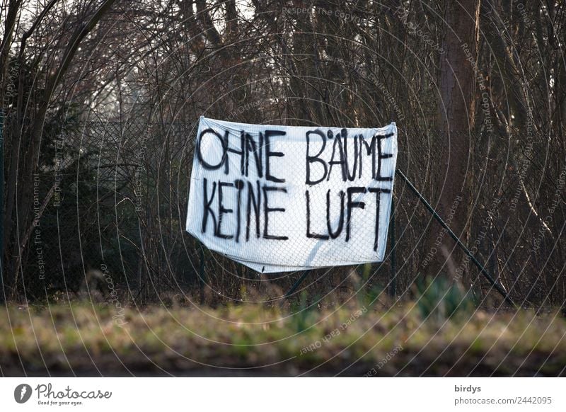 Protest gegen Abholzung Natur Baum Sträucher Park Wald Transparente Schriftzeichen Hinweisschild Warnschild kämpfen authentisch nachhaltig braun schwarz weiß