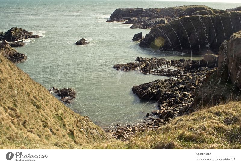 Klippen bei Dunnottar Umwelt Natur Landschaft Erde Wetter Schönes Wetter Pflanze Gras Hügel Küste Bucht Nordsee Wasser Meer Schottland Stein wandern wild blau