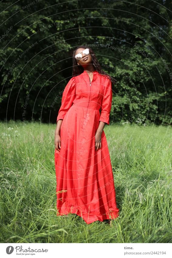 Romancia feminin Frau Erwachsene 1 Mensch Frühling Schönes Wetter Park Wiese Wald Kleid Sonnenbrille brünett langhaarig beobachten Erholung Blick stehen warten