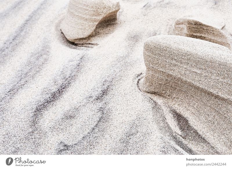 Sandstruktur2 Strand Menschenleer braun gelb Farbfoto Außenaufnahme Nahaufnahme Strukturen & Formen Tag