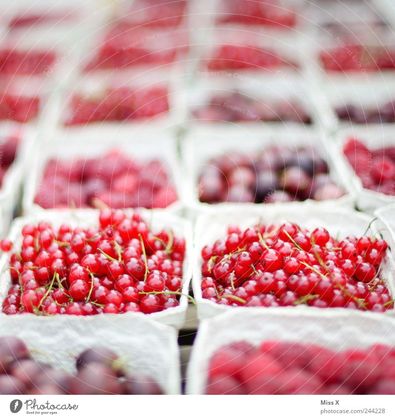 rote Früchte Lebensmittel Frucht Ernährung Bioprodukte Vegetarische Ernährung frisch lecker saftig sauer süß Appetit & Hunger Johannisbeeren Beeren