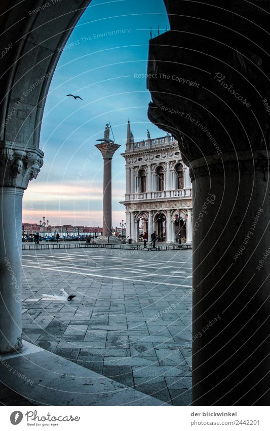 Menschenleerer Markusplatz Venedig Sehenswürdigkeit Wahrzeichen Denkmal Zufriedenheit Stimmung Tourismus Tradition Morgendämmerung Farbfoto Außenaufnahme Licht