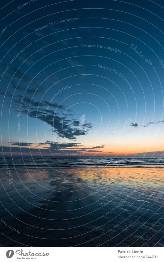 Turn on the bright lights Umwelt Natur Landschaft Urelemente Luft Wasser Himmel Wolken Nachthimmel Klima Wetter Schönes Wetter Wellen Küste Strand Nordsee Meer