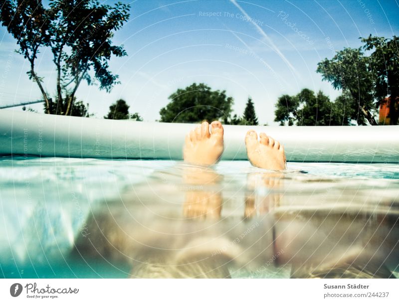 Daydream Freizeit & Hobby Frau Erwachsene Beine Fuß 1 Mensch Wasser Wassertropfen Wolkenloser Himmel Sommer Garten Schwimmen & Baden Schweben Erholung Spa