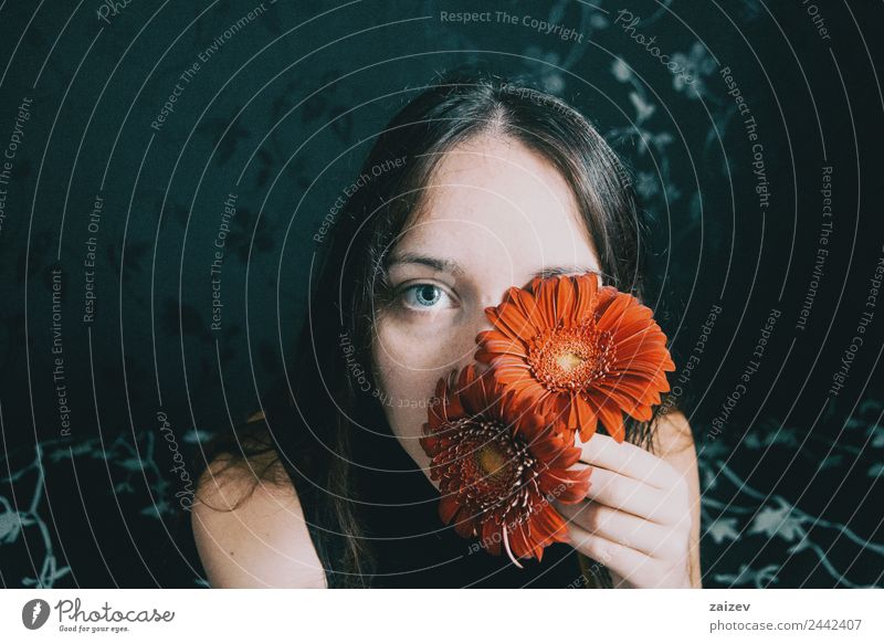 ein Mädchen mit blauen Augen und langem Haar, das sich mit einer Gerbera-Blüte bedeckt Lifestyle schön Gesicht Erholung Windstille Mensch Frau Erwachsene