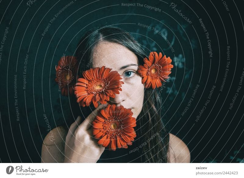 ein Mädchen mit blauen Augen und langem Haar, das sich mit einer Gerbera-Blüte bedeckt Lifestyle schön Gesicht Erholung Windstille Mensch feminin Junge Frau