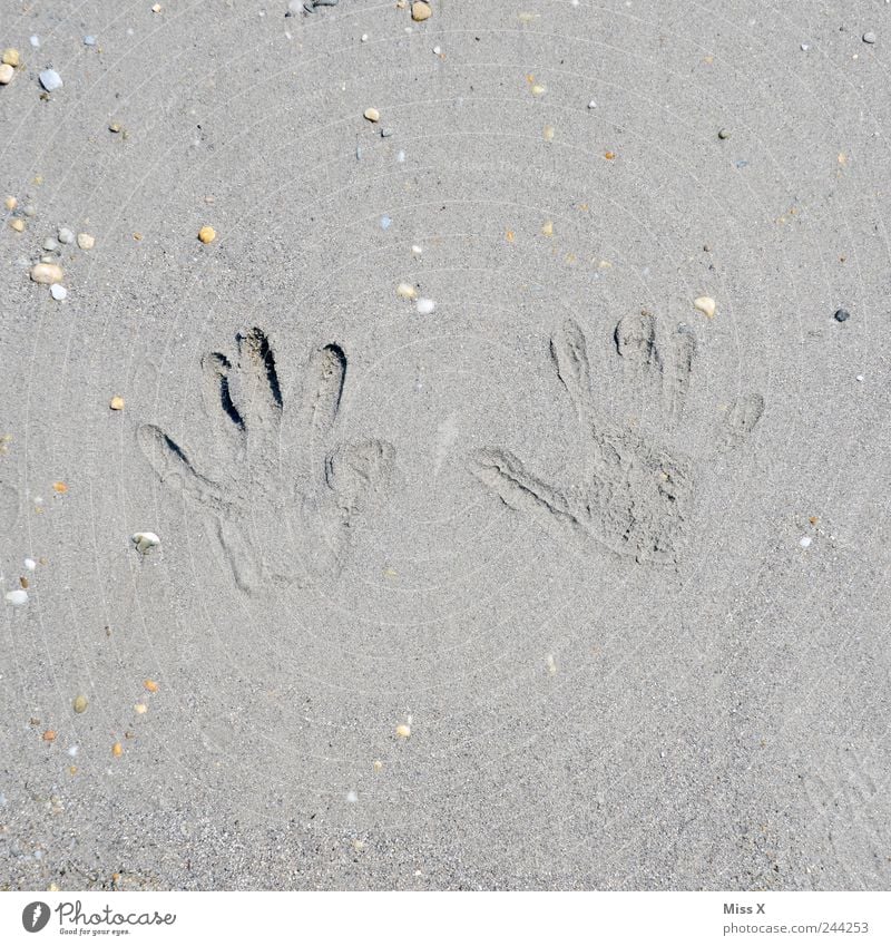 Walk of fame Ferien & Urlaub & Reisen Sommerurlaub Strand Kleinkind Hand Finger braun Sand Stein Muschel Sandstrand Fingerabdruck Abdruck Farbfoto