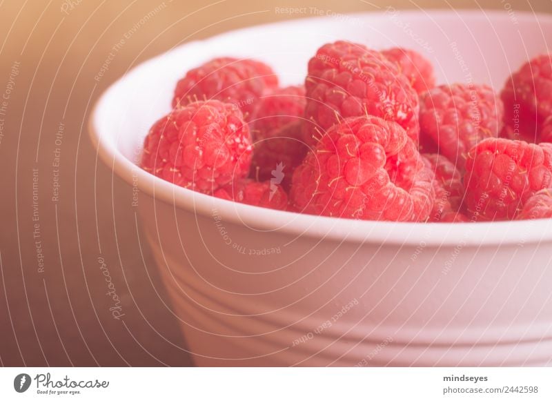 Himbeeren in rosa Schale Frucht Ernährung Bioprodukte Vegetarische Ernährung Diät Schalen & Schüsseln Gesundheit Leben Wohlgefühl Sinnesorgane Sommer Pflanze