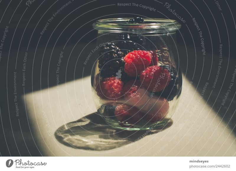 Waldbeeren im Glas im Sonnenlicht Frucht Ernährung Küche Brombeeren Himbeeren Einmachglas Essen genießen Wachstum glänzend lecker rot schwarz nachhaltig