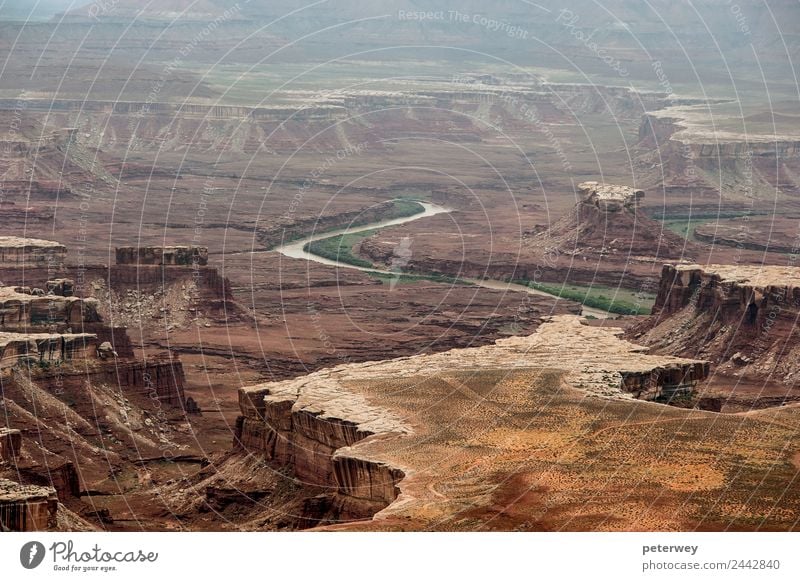 Distant canyons in Canyonlands National Park Ausflug wandern Natur Landschaft Erde Hügel Felsen Schlucht Fluss braun grün Freiheit above america Colorado