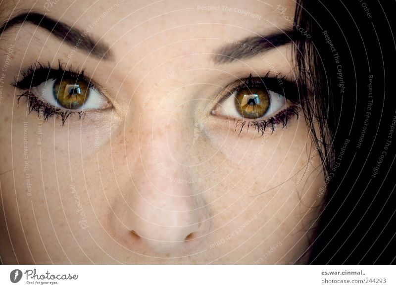 zwei feminin Haare & Frisuren Auge beobachten Blick grün Wachsamkeit Ehrlichkeit Gefühle Spiegel Regenbogenhaut Augenbraue Zwinkern Farbfoto Blick in die Kamera