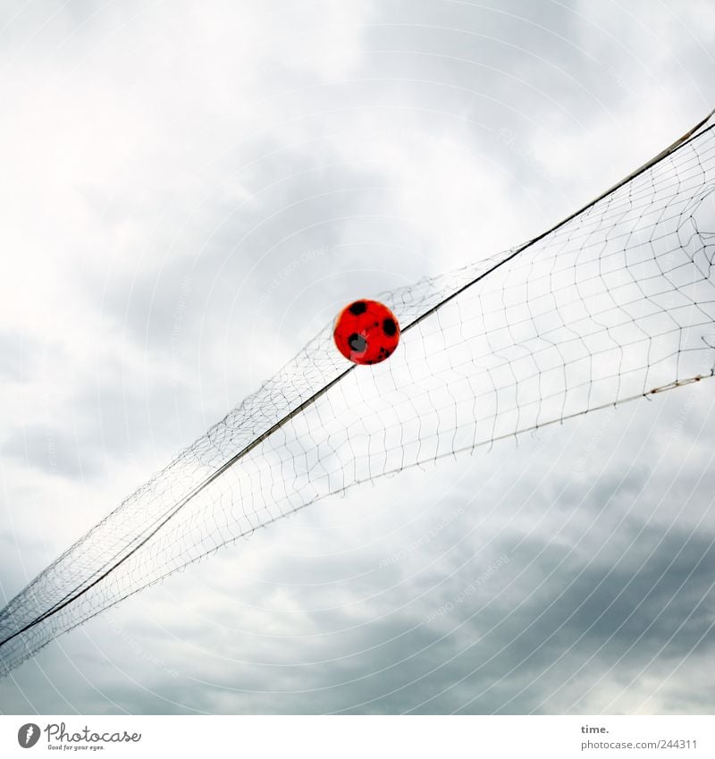 Flugobjekt Spielen Sport Ballsport Seil Himmel Netz fliegen Volleyballnetz Pfosten Holzpfahl Abspannung Farbfoto Gedeckte Farben Außenaufnahme Menschenleer