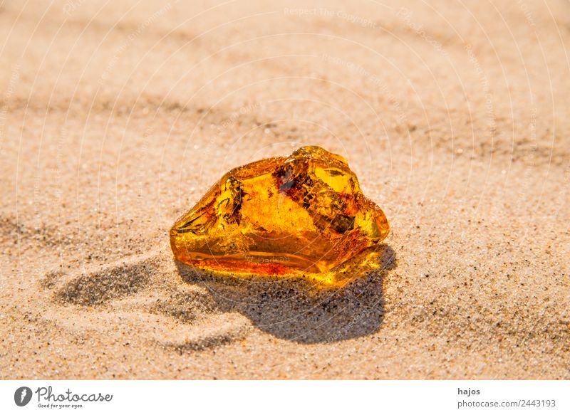 Bernstein am Ostseestrand Strand Natur Sand Stein Ornament alt gelb strahlend leuchtend Baltisch Polen Fund wertvol Kostbarkeit Baumharz Heilstein Heilkunde