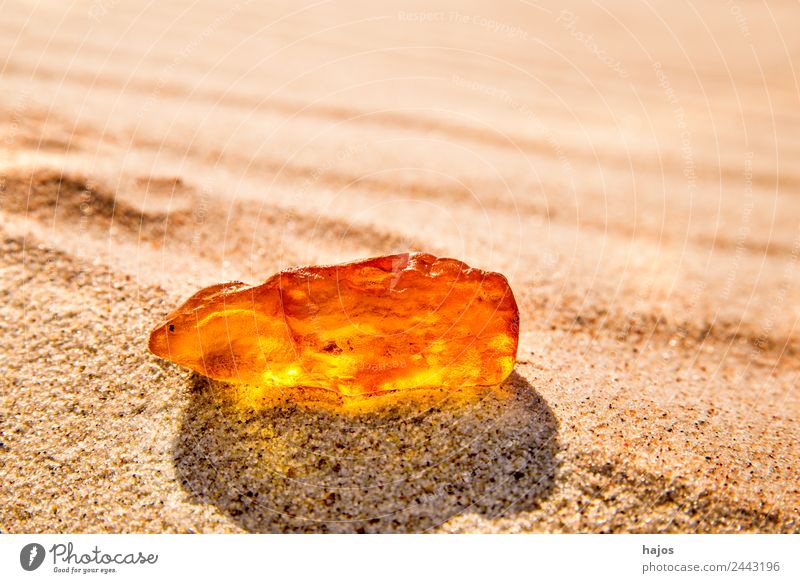 Bernstein am Ostseestrand Gesundheit Strand Natur Sand Ornament alt glänzend gelb strahlend leuchtend hell sonnig polen ostsee heilstein heilkund steinheilkunde