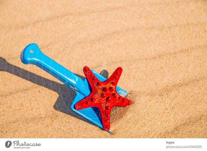 Sandstrand mit Spiezeugschaufel und Seestern Freude Erholung Ferien & Urlaub & Reisen Sommer Strand Kind blau gelb rot Tourismus Schaufel Spielzeug spi sandeln