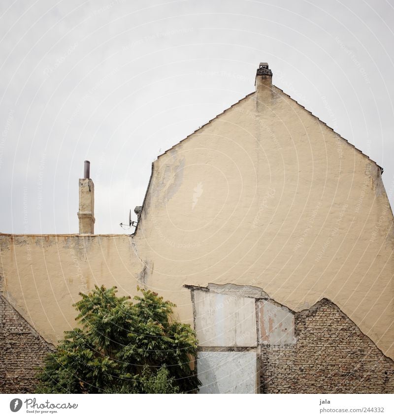 giebel Himmel Pflanze Baum Haus Bauwerk Gebäude Mauer Wand Fassade Dach Schornstein trist Abrissgebäude Farbfoto Außenaufnahme Menschenleer Textfreiraum oben