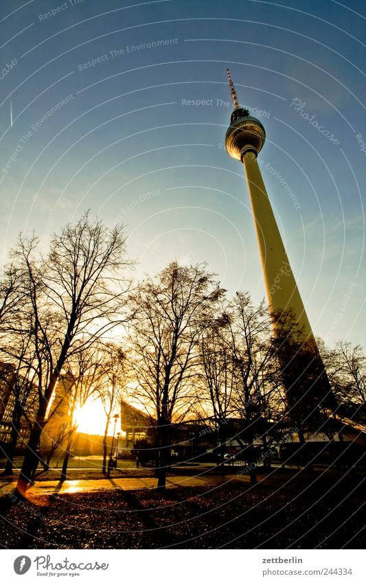 Gernsehturm Stadt Hauptstadt Stadtzentrum Turm Bauwerk Gebäude Architektur Sehenswürdigkeit Wahrzeichen Gefühle Berlin Dezember Berliner Fernsehturm Baum