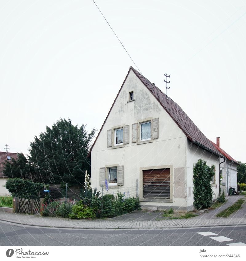 emma's ecke Natur Himmel Pflanze Baum Gras Sträucher Garten Haus Einfamilienhaus Bauwerk Gebäude Straße Wege & Pfade trist Farbfoto Außenaufnahme Menschenleer