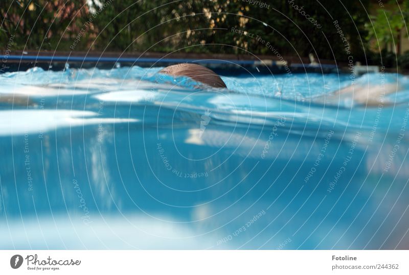 Erfrischend Mensch feminin Kindheit Natur Pflanze Urelemente Wasser Sommer hell nass blau grün Schwimmbad Hecke Schwimmsport tauchen Unterwasseraufnahme