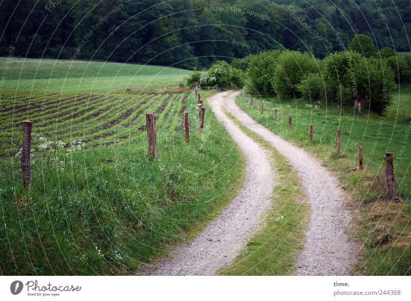 Lebenslinien #29 Landwirtschaft Forstwirtschaft Sträucher Feld Wald Wege & Pfade ästhetisch Zufriedenheit Bewegung Ewigkeit Freundschaft Gefühle Gelassenheit