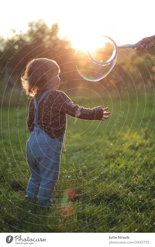 Seifenblase Kleinkind Wiese Sonnenuntergang feminin Mädchen 1 Mensch 1-3 Jahre Natur Sonnenaufgang Sonnenlicht Sommer Schönes Wetter Sträucher Latzhose brünett