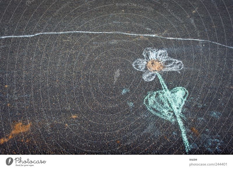 Blume am Straßenrand Freude Freizeit & Hobby Spielen Kinderspiel Kindergarten Kindheit Kunst Gemälde Umwelt Pflanze Klima Blatt Blüte Platz Freundlichkeit grau