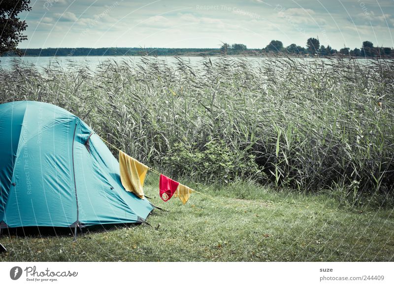 Zelten Freizeit & Hobby Ferien & Urlaub & Reisen Ausflug Camping Umwelt Natur Landschaft Urelemente Himmel Wolken Horizont Sommer schlechtes Wetter Wind Wiese