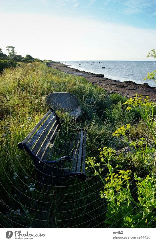 Meermorgen Ferien & Urlaub & Reisen Tourismus Ausflug Ferne Freiheit Umwelt Natur Landschaft Pflanze Wasser Himmel Horizont Sommer Klima Wetter Schönes Wetter