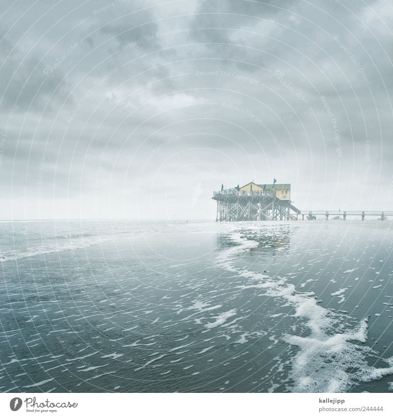 tausendfüßler Umwelt Natur Landschaft Wasser Himmel Wolken Wellen Küste Strand Nordsee Tourismus St. Peter-Ording Meer küstennebel Nebel Gewässer Ebbe flut