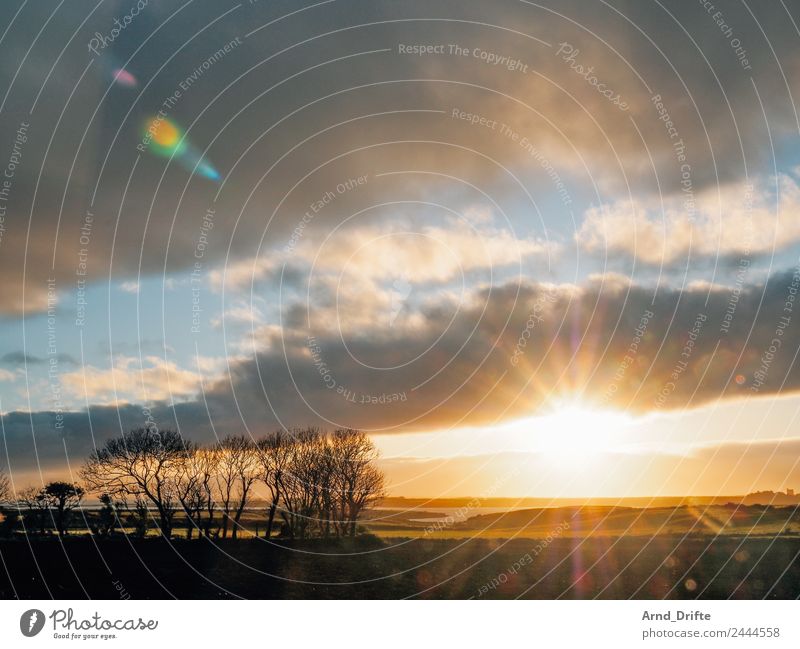 Irland - Sonnenuntergang Ferien & Urlaub & Reisen Freiheit Meer Insel Natur Landschaft Pflanze Himmel Wolken Sonnenaufgang Sonnenlicht Frühling Sommer