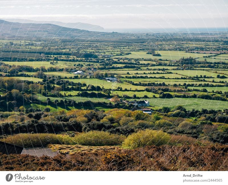 Irland Ferien & Urlaub & Reisen Ferne Freiheit Sommer Sommerurlaub Republik Irland Natur Landschaft Himmel Frühling Schönes Wetter Wiese Feld Hügel Nordirland