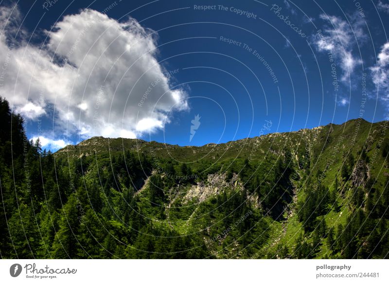 wolkige Aussichten Ferien & Urlaub & Reisen Tourismus Ausflug Sommerurlaub wandern Natur Landschaft Erde Luft Himmel Sonnenlicht Schönes Wetter Baum Gras Moos