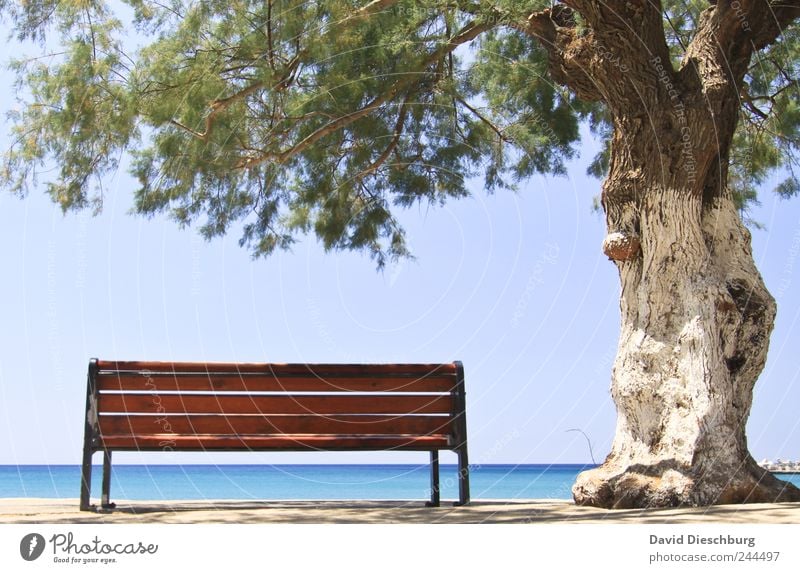 Ein Platz zum träumen Erholung ruhig Ferien & Urlaub & Reisen Ausflug Ferne Freiheit Sommerurlaub Meer Insel Landschaft Pflanze Wasser Schönes Wetter Baum Küste