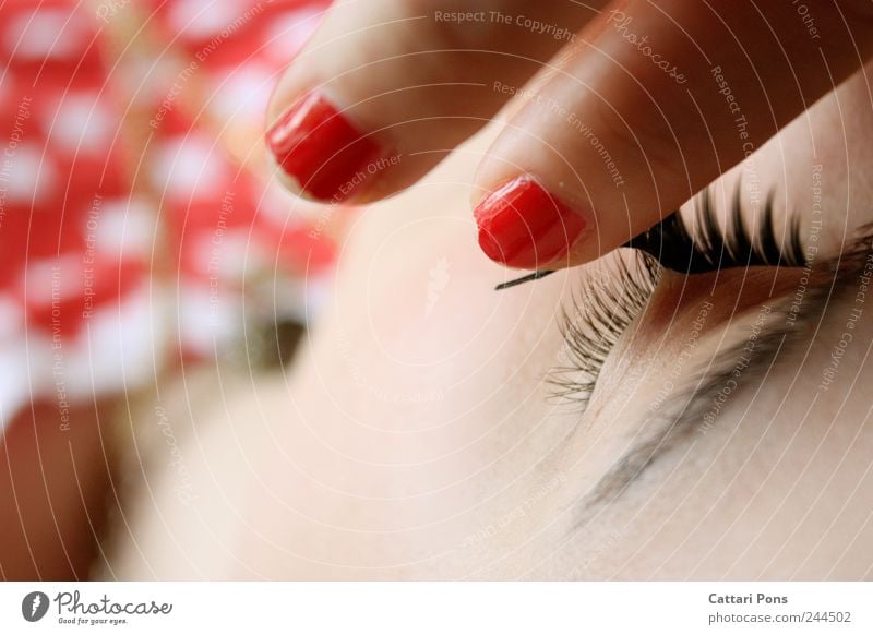 get rid of the fake lashes Stil schön Gesicht Kosmetik Schminke Wimperntusche Wohlgefühl feminin Junge Frau Jugendliche Erwachsene Auge Kunststoff wählen