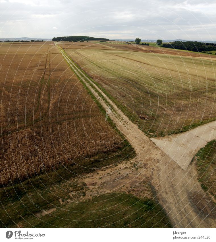 kreuz und quer Umwelt Natur Landschaft Erde Horizont Feld Hügel Verkehrswege Straße Wege & Pfade Wegkreuzung braun grün Symmetrie Ernte Ferne Farbfoto