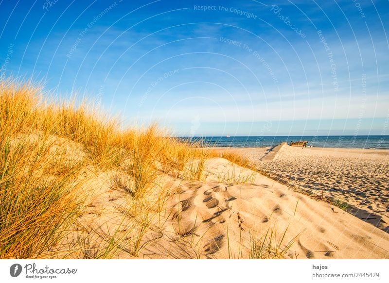 Ostseestrand in Polen Ferien & Urlaub & Reisen Sommer Strand Natur Sand Hügel Küste Idylle Tourismus Düne Strandhafer Himmel blau Meer leer einsam wild