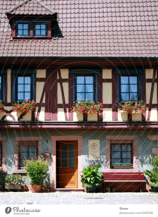 Fenster mit Haus Wohnung Traumhaus Schönes Wetter Blume Balkonpflanze Pelargonie Dorf Kleinstadt Menschenleer Fachwerkhaus Fassade Tür Bank Holzbank Erholung