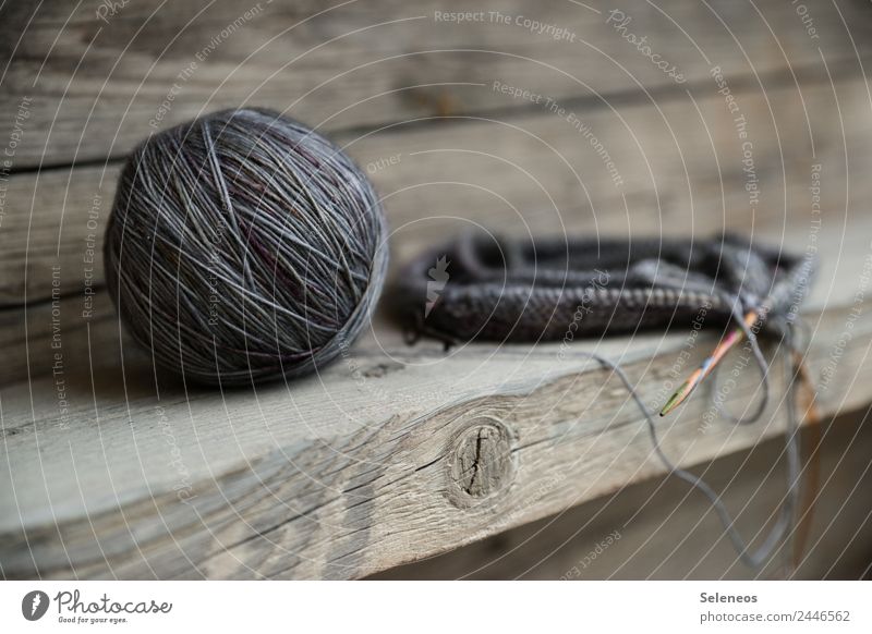 ton in ton Zufriedenheit Sinnesorgane Erholung ruhig Meditation Freizeit & Hobby Handarbeit stricken Stricknadel Wolle Wollknäuel Wärme weich Farbfoto