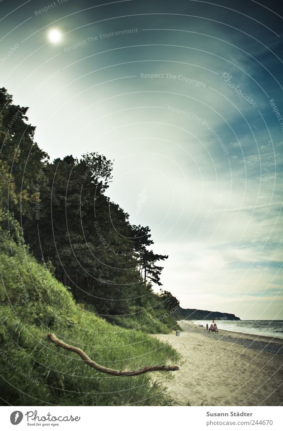 with true Erde Sand Sonne Schönes Wetter Wind Wiese Wald Wellen Küste Strand Ostsee Meer See leuchten Wolkenhimmel dunkel Baum Warnemünde bedrohlich