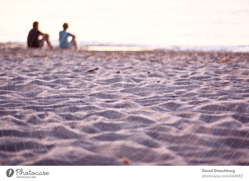 Du mit mir und ich mit dir Mensch Junge Frau Jugendliche Junger Mann Erwachsene Paar Partner Leben 2 Landschaft Sommer Küste Strand Meer Insel Glück