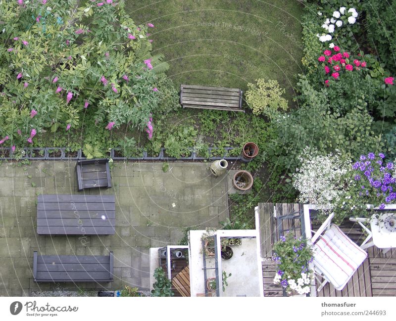 Abgrund Häusliches Leben Haus Garten Sessel Stuhl Tisch Balkon Sommer Pflanze Blume Gras Sträucher Rose Stadtzentrum Mehrfamilienhaus Terrasse Freundlichkeit