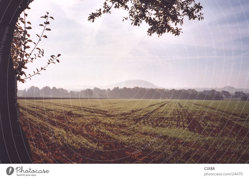 Morgennebel 2 Nebel Feld Einsamkeit Baum Straße Amerika Himmel