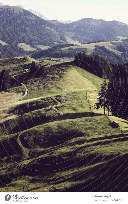 Zaubahland Ferien & Urlaub & Reisen Ferne Freiheit Berge u. Gebirge wandern Umwelt Natur Landschaft Pflanze Sonnenlicht Schönes Wetter Baum Gras Wiese Feld Wald