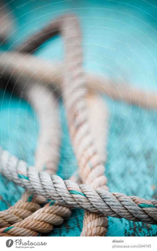 Seilschaft 1 Schifffahrt Fischerboot An Bord Schiffsdeck alt liegen authentisch Farbe Verfall Vergänglichkeit Zusammenhalt Verbindung Schnur Farbfoto