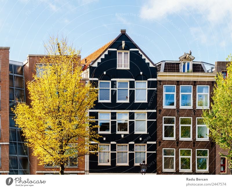 Schöne Architektur niederländischer Häuser in Amsterdam Stil Ferien & Urlaub & Reisen Tourismus Wohnung Haus Kultur Himmel Herbst Schönes Wetter Baum Kleinstadt