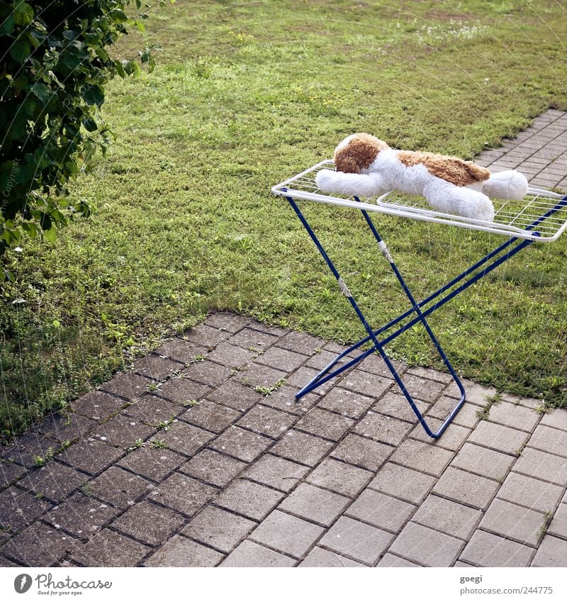 Endlich Urlaub! Sommer Schönes Wetter Pflanze Gras Sträucher Wiese Terrasse Wäscheständer Stofftiere Stein Beton Metall liegen Erholung Ferien & Urlaub & Reisen