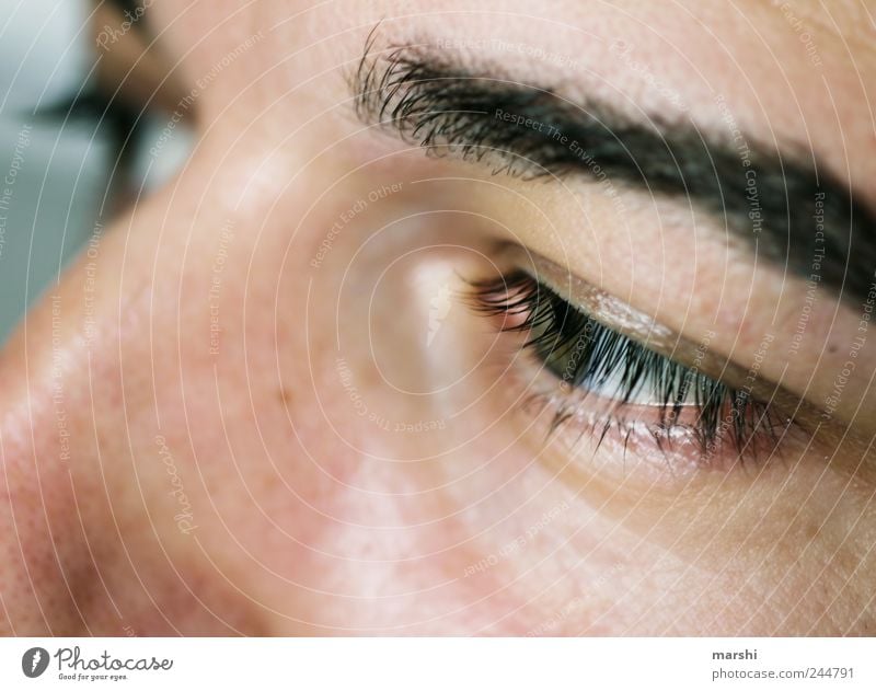 in seinen Augen... Mensch maskulin Mann Erwachsene Gesicht 1 Gefühle Wimpern Nahaufnahme Augenbraue Gesichtsausschnitt Blick Farbfoto