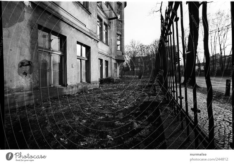 Kontrast im Vorgarten Lifestyle Häusliches Leben Wohnung Garten Renovieren Kunst Umwelt Herbst verwildert Blatt Fassade Fenster Zaun Bürgersteig Sanieren alt