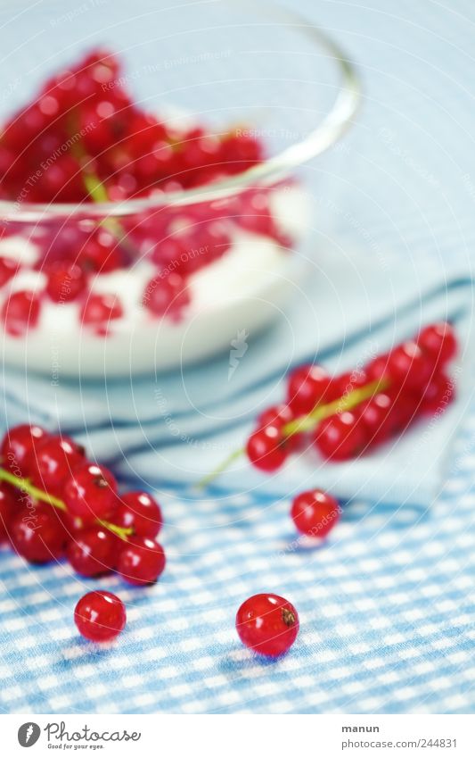 Johannisbeeren Joghurt Milcherzeugnisse Frucht Dessert Beeren Ernährung Frühstück Bioprodukte Vegetarische Ernährung Diät authentisch frisch Gesundheit lecker